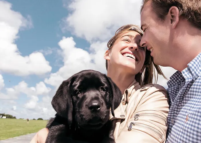 Kuestenperle Strandhotel & 4* بوسم